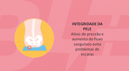 02 - Integridade Pele.png