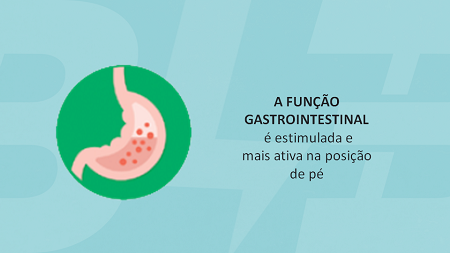 04 - Gastro.png
