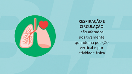 08 - Respiração.png